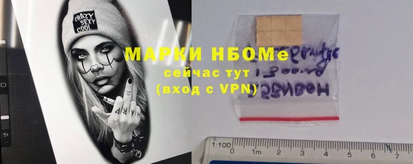 стафф Зеленокумск