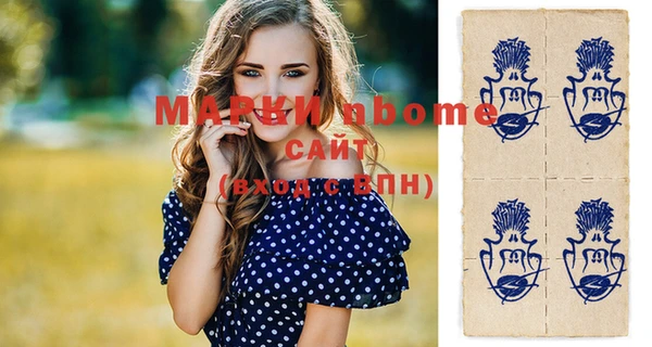 стафф Зеленокумск