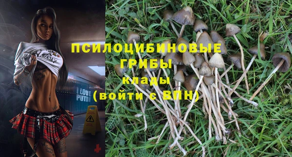 стафф Зеленокумск