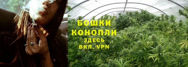 мдпв Зеленодольск