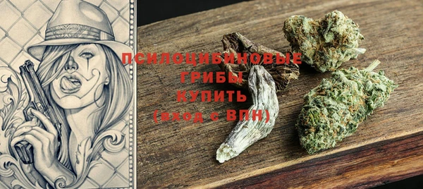стафф Зеленокумск
