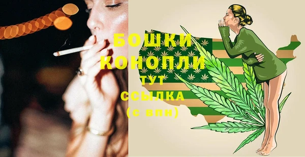 мдпв Зеленодольск
