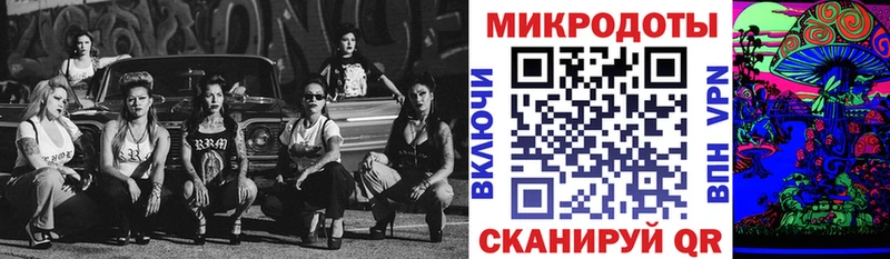 наркошоп  Ирбит  Псилоцибиновые грибы Psilocybe 
